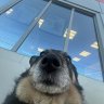 Maksim_Kristovv