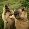 Matvey_Krecc