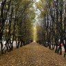 Анастасия Медведева