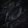 Rey_Unicum