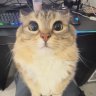 Mityai_Romanov