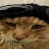 Hamado_Impress