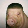 хзр