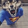 danilatursunbaev01@gmail
