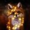 Fox_Sunrise