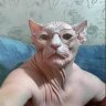 Kato_Mauzer