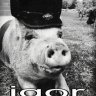 Igor_Kozhedub