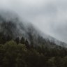 Maxim_Granitov
