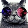 Mark_Rafov