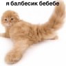 Anastasia_Chingaeva