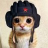 Yuki_Qwinside