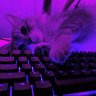 Ivan_Jackson