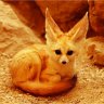 Ruslan_Reizer