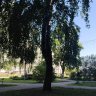 Dmitry_North