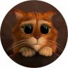 Евгений Кот
