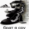 Vladimir_Zmei