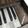 Austin_Martynov
