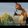 Bodya_Torretto