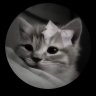 Mihail_Neshataev