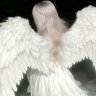 Karroty