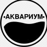 Egor_Acvarm