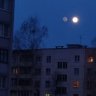 Leonid P