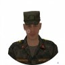 sevka dolgushin