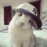 Arisha_Selston