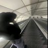 Dima_Bocharov