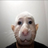 Egor_Zukov