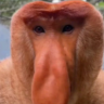 Derek_Hadzime