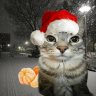 Dima_Davydov