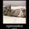 Elizaveta_Anderson