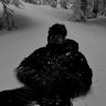 Ivan_Kalashikov