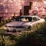 Nikita_Manicov