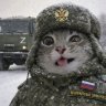 Igor_9999