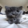Ilya_Stotskiy