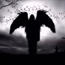 Kirill_Vorons