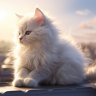 Victor_Frolov