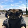 Dmitriy_Abramov