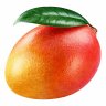 blogermelstroy