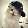 Max_Tsvetochkin