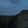 Бестолочь
