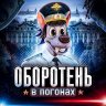 NayHolodov