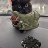 Adam_Broshov