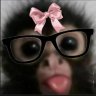 Kort1q