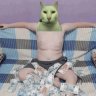 beme