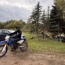 Dmitry_Hensonn