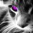 danil_bumer