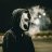 Maksim_King